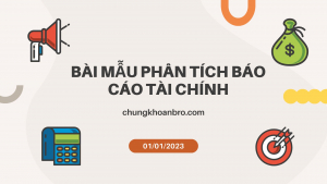 bài mẫu phân tích báo cáo tài chính